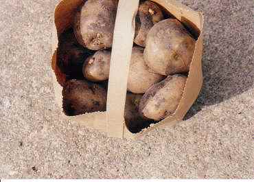[sack of potatoes]