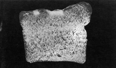 [Kenneth Josephson, page from
'The Bread Book' 1974]